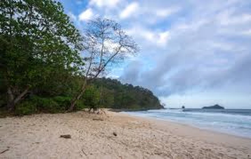 Memayu Hayuning Desa Teluk Bakung